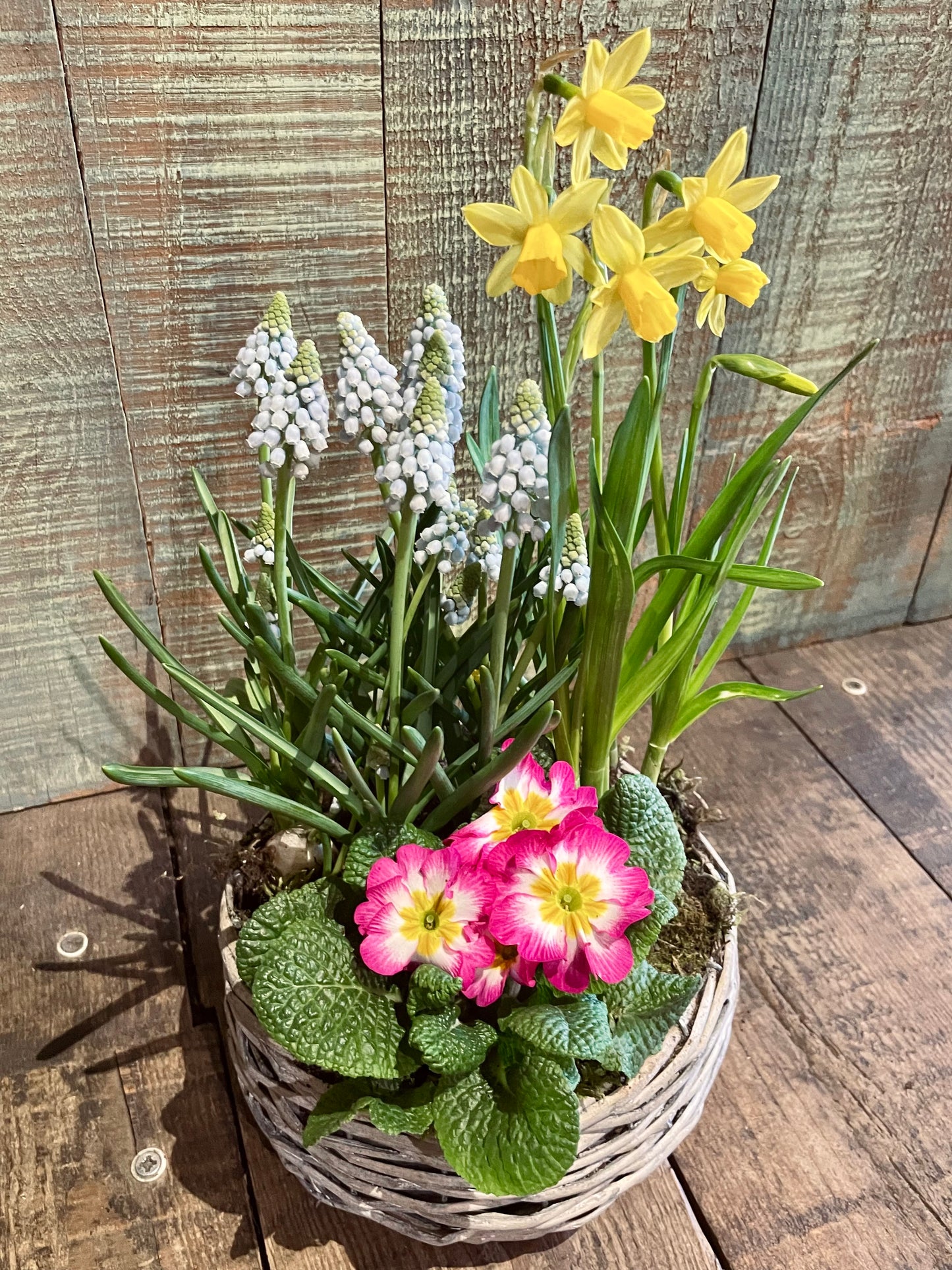 Charme Fleuri