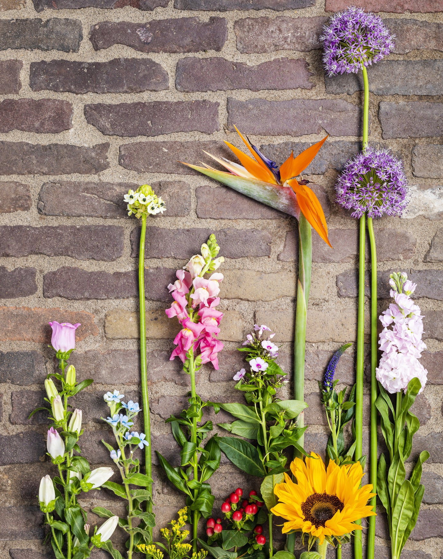 Atelier floral - Votre 1er Bouquet