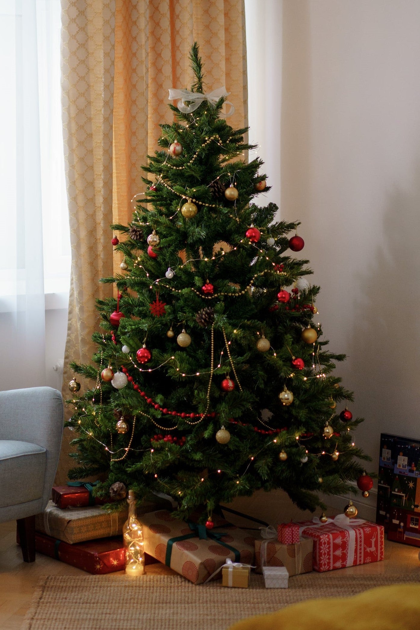 Sapin de noël - Disponible sur le Bassin d'Arcachon