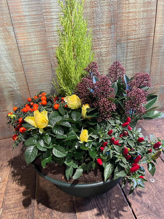 Jardin du Souvenir