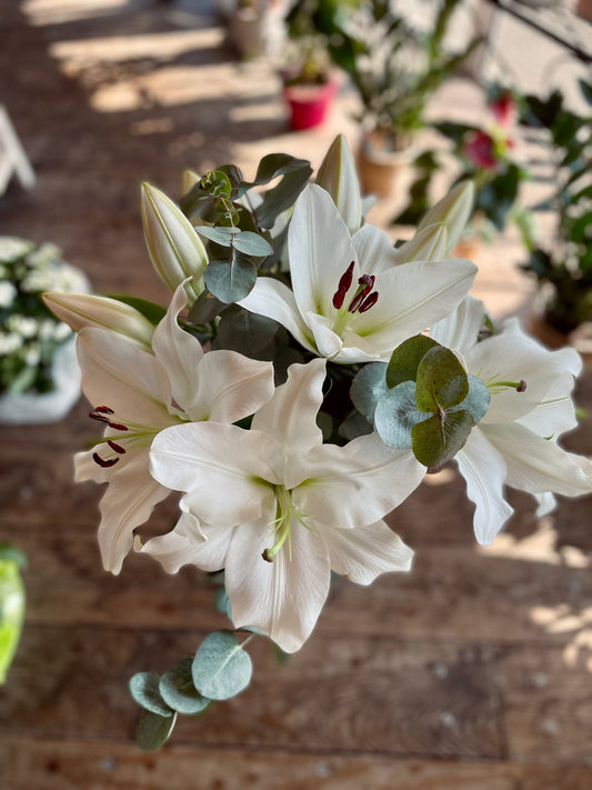 Bouquet de lys blanc - Philo et Capucine - Fleuriste Gujan-Mestras